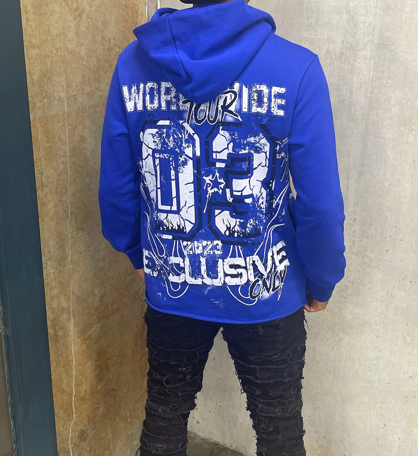 Blue Worldwide Tour Hoodie