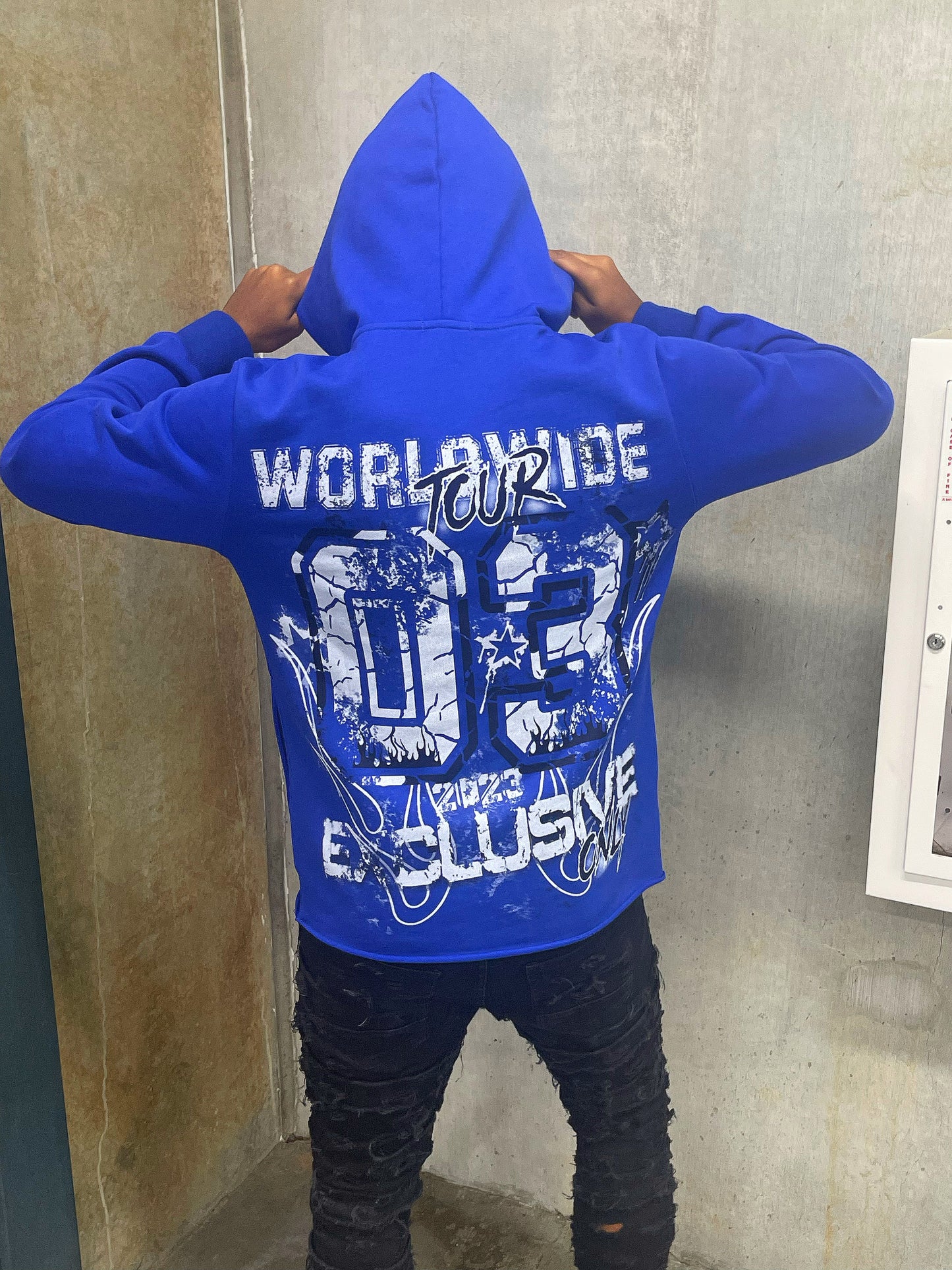 Blue Worldwide Tour Hoodie